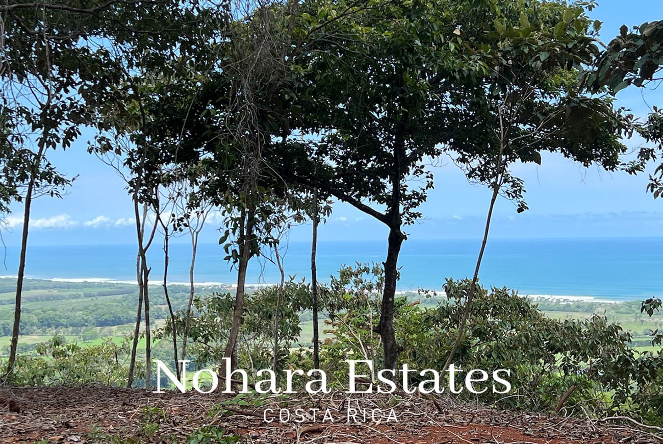 Nohara Estates Costa Rica Hermosa Falls Estates 017