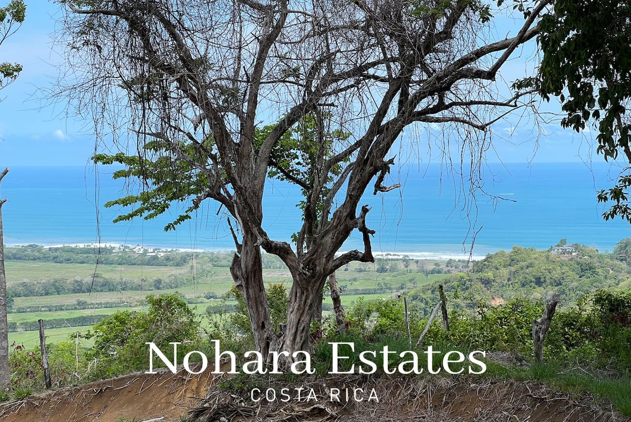 Nohara Estates Costa Rica Hermosa Falls Estates 026