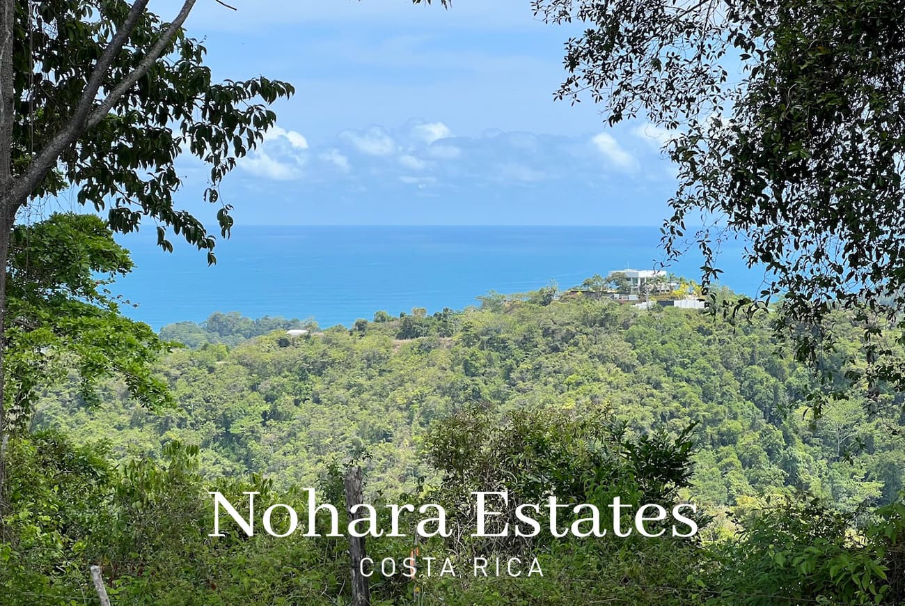 Nohara Estates Costa Rica Hermosa Falls Estates 027