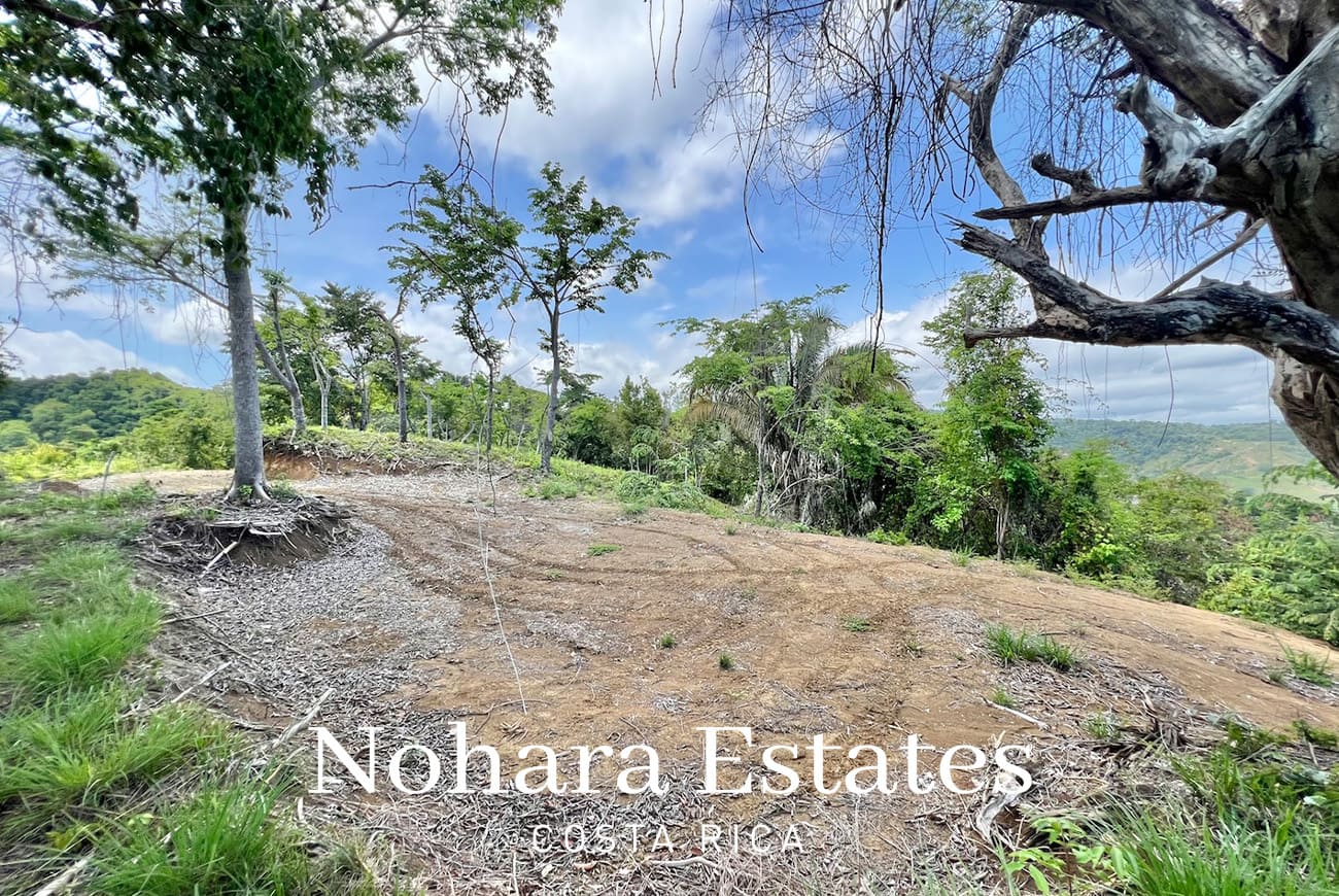 Nohara Estates Costa Rica Hermosa Falls Estates 030