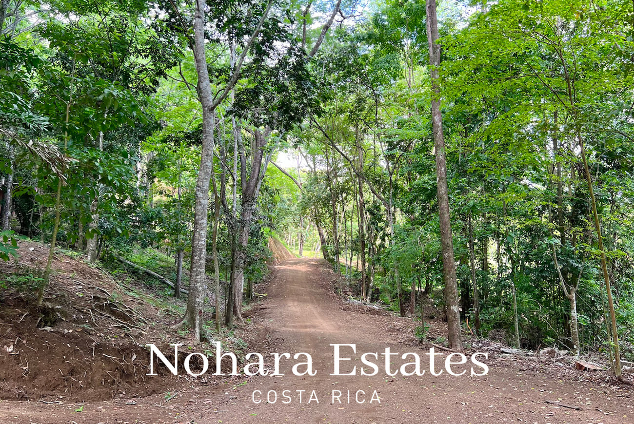 Nohara Estates Costa Rica Hermosa Falls Estates 037