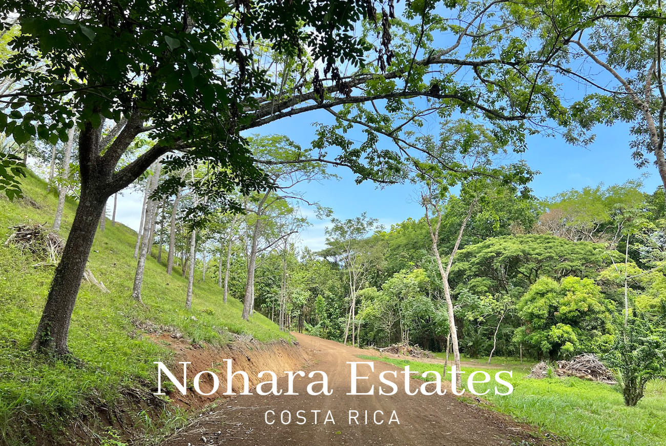 Nohara Estates Costa Rica Hermosa Falls Estates 038