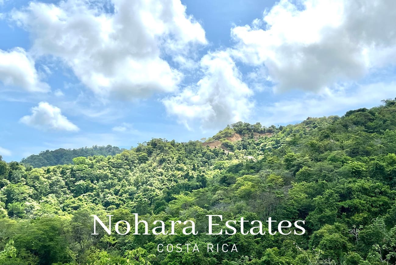 Nohara Estates Costa Rica Hermosa Falls Estates 041