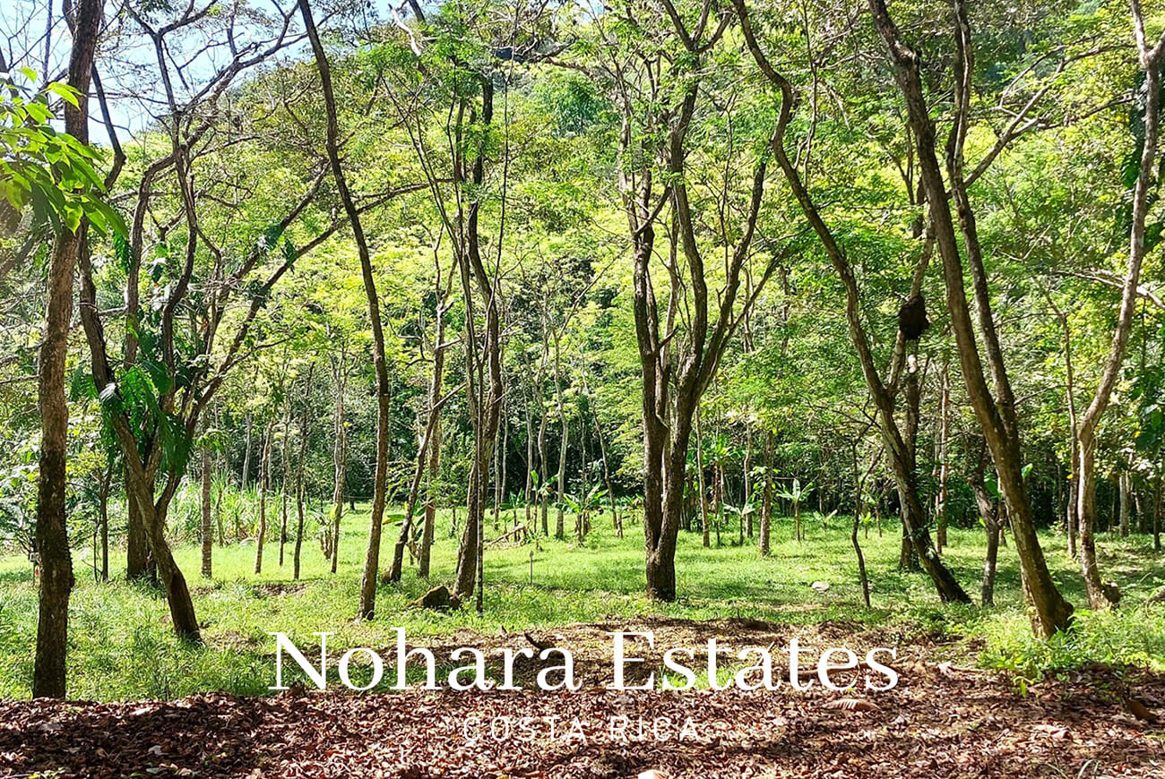 Nohara Estates Costa Rica Hermosa Falls Estates 046