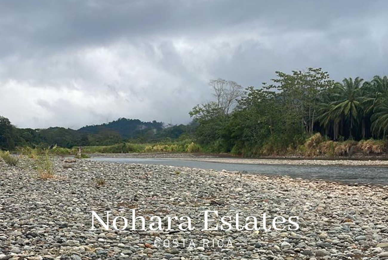 Nohara Estates Costa Rica Palms Eco Reserve 001
