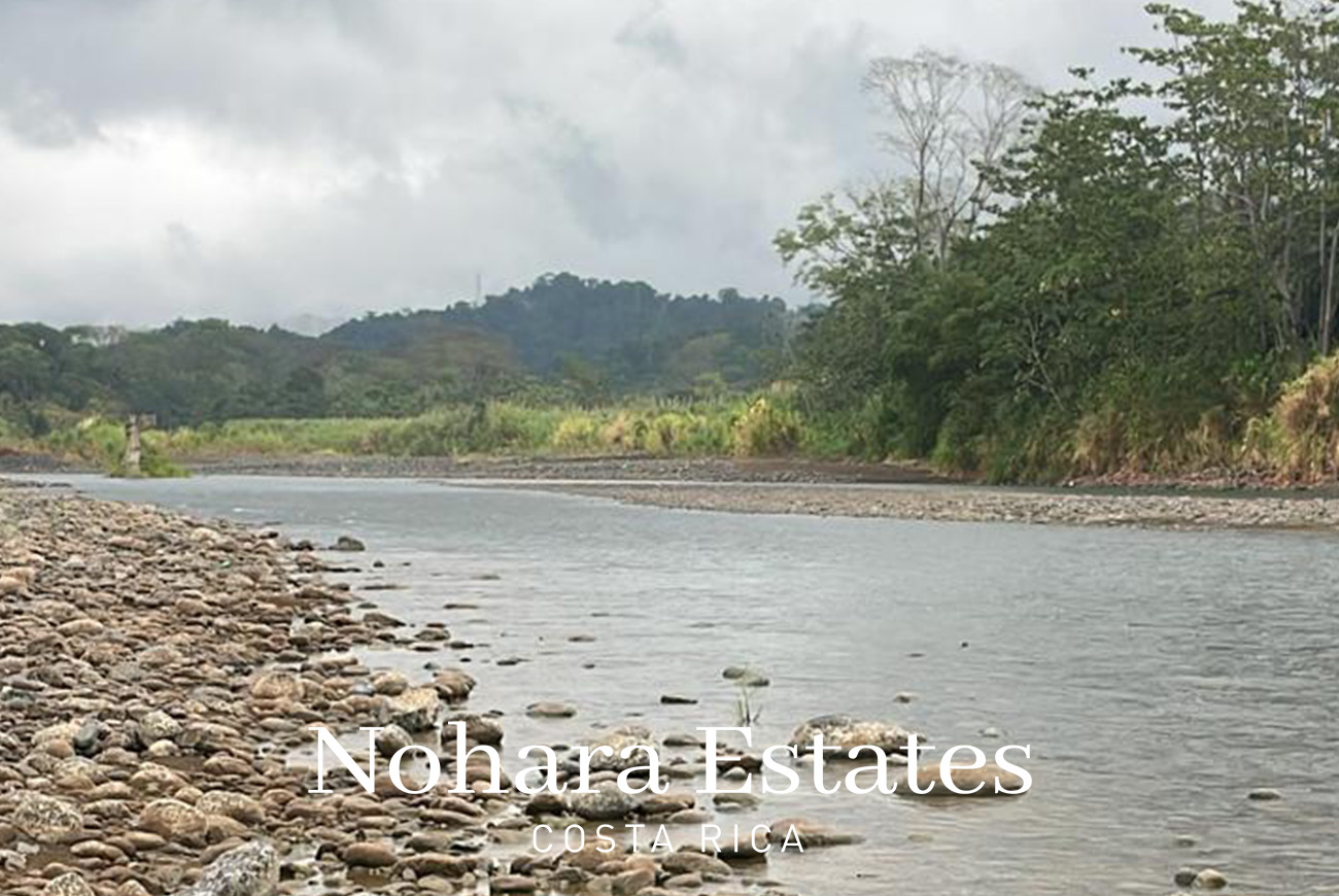 Nohara Estates Costa Rica Palms Eco Reserve 003