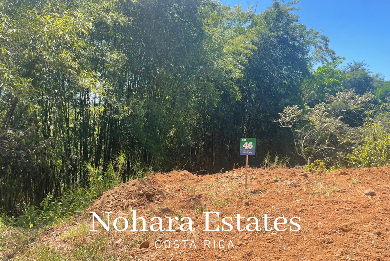 Nohara Estates Costa Rica Palms Eco Reserve 004