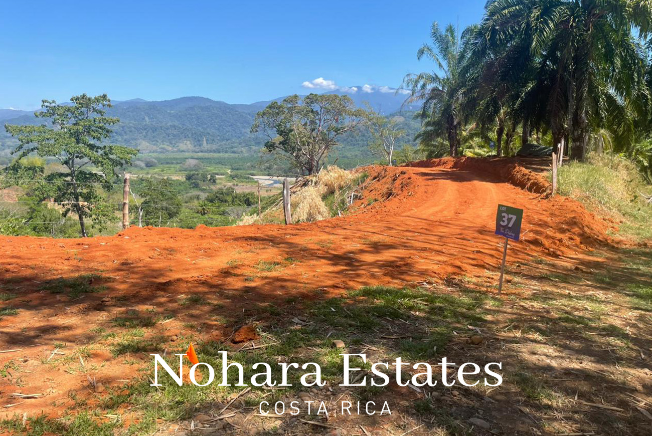Nohara Estates Costa Rica Palms Eco Reserve 005