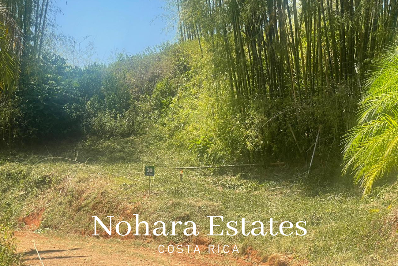 Nohara Estates Costa Rica Palms Eco Reserve 006