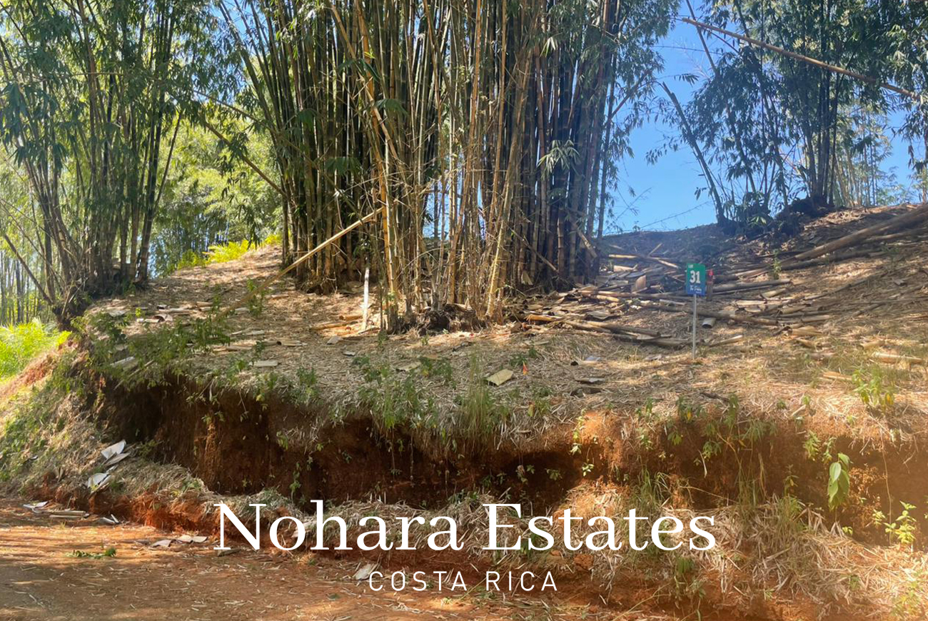 Nohara Estates Costa Rica Palms Eco Reserve 007