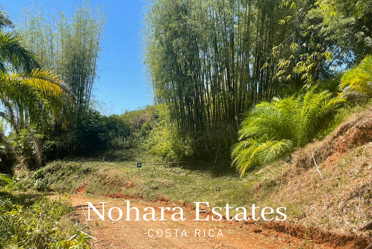 Nohara Estates Costa Rica Palms Eco Reserve 009