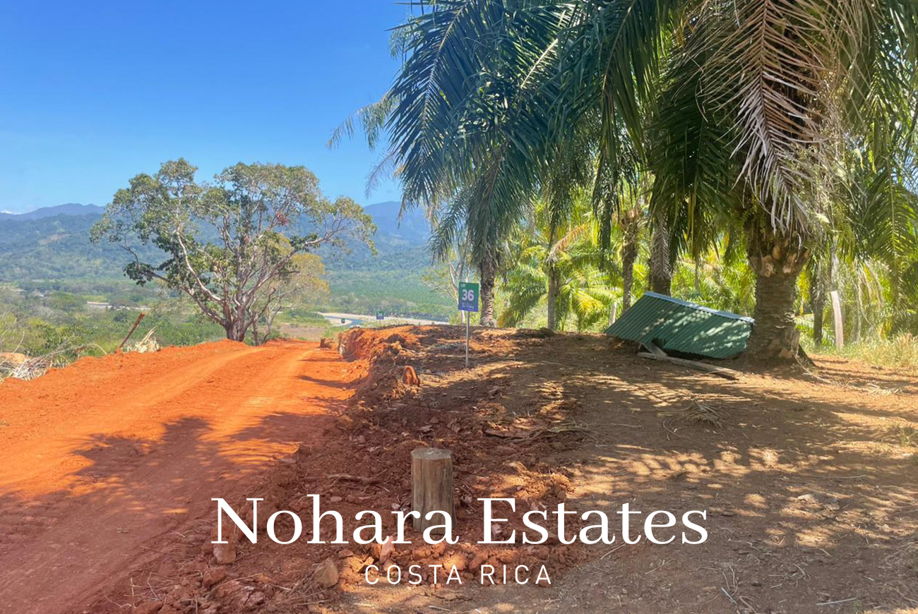 Nohara Estates Costa Rica Palms Eco Reserve 010
