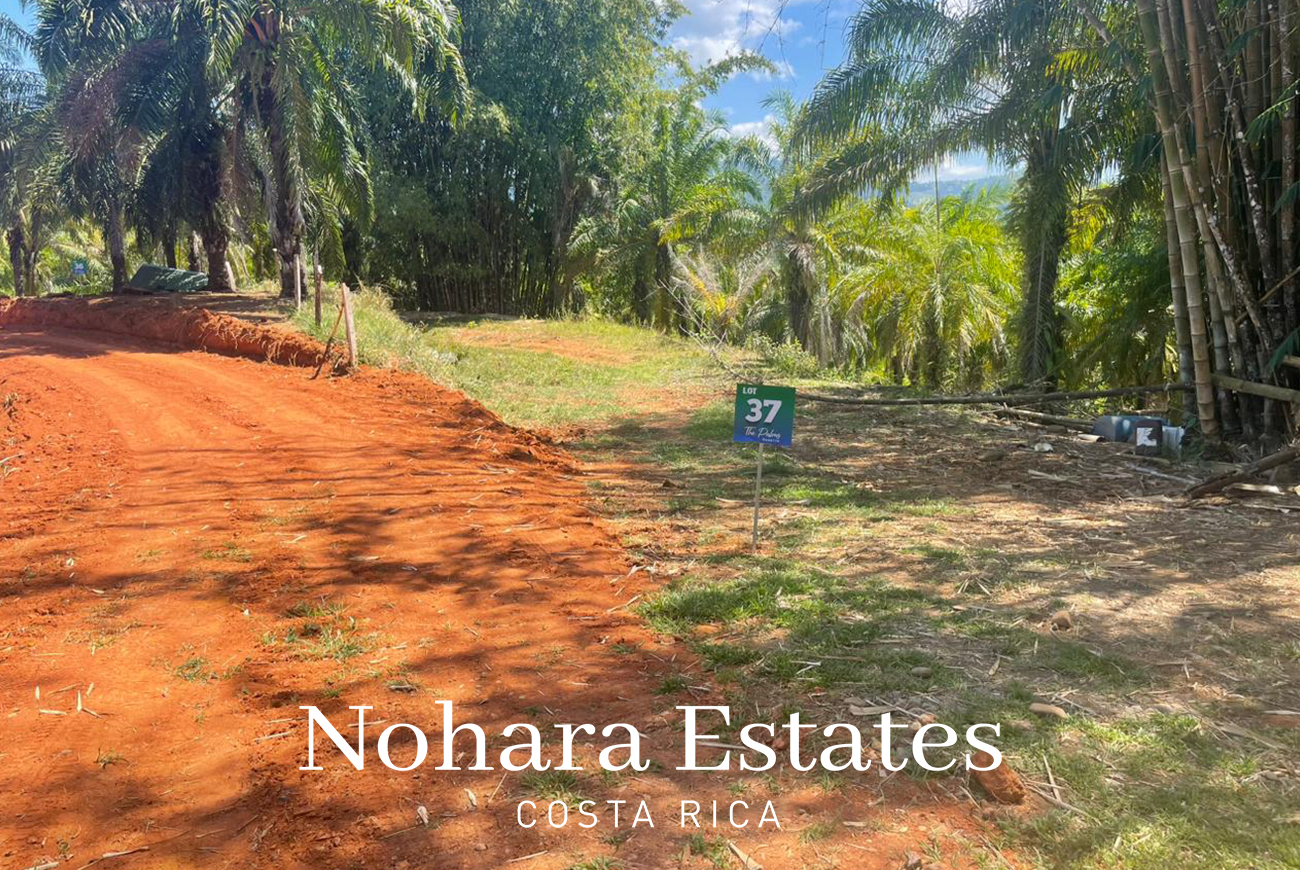 Nohara Estates Costa Rica Palms Eco Reserve 011