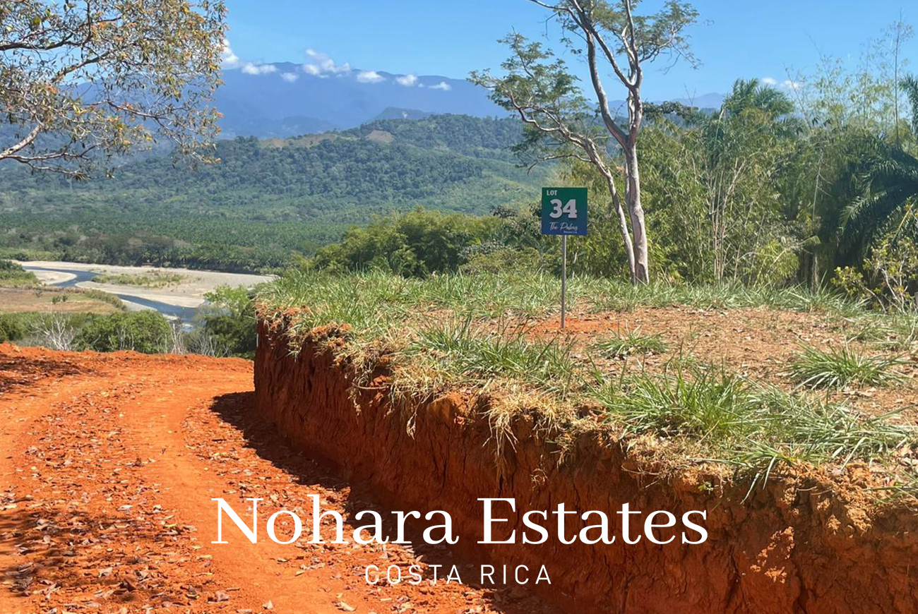 Nohara Estates Costa Rica Palms Eco Reserve 012