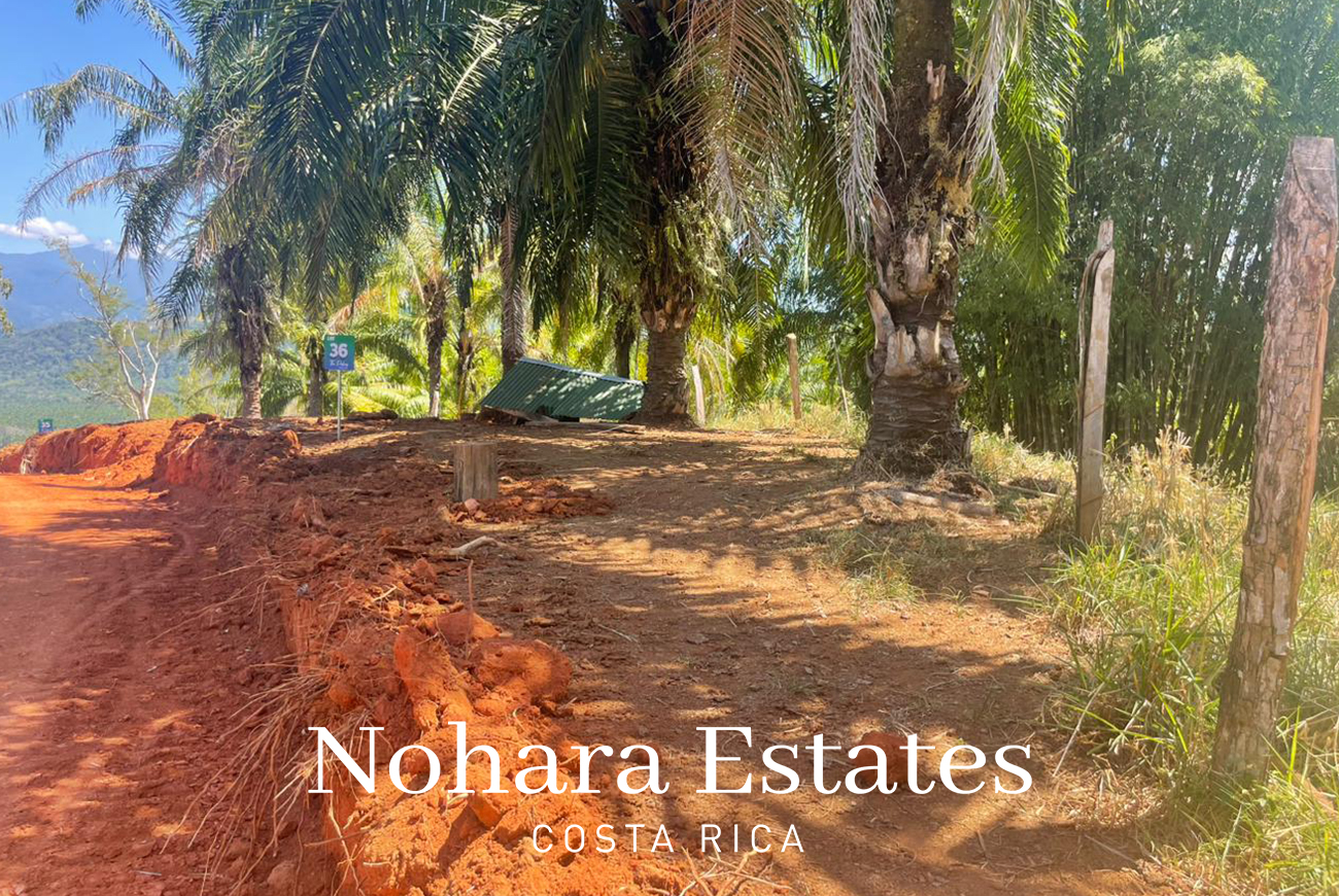 Nohara Estates Costa Rica Palms Eco Reserve 013