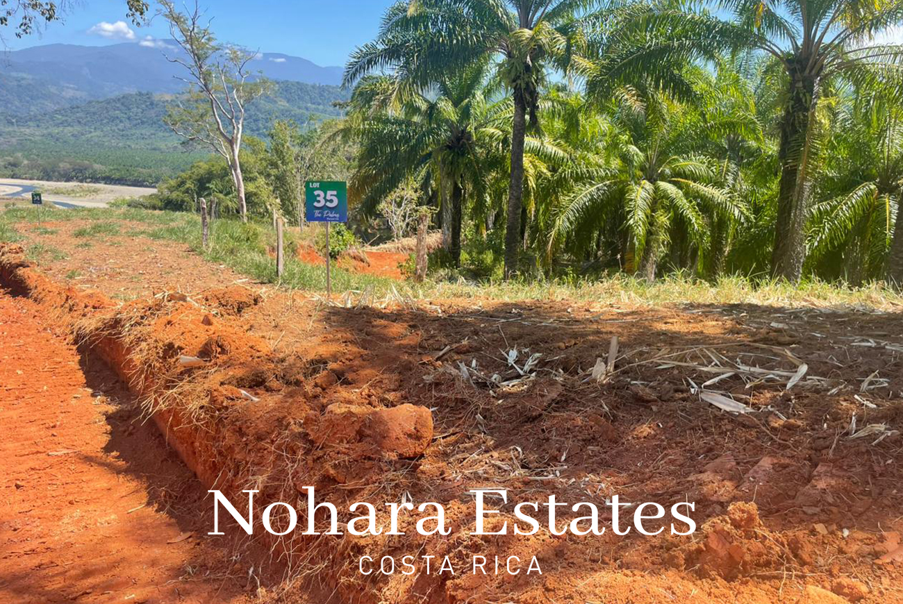 Nohara Estates Costa Rica Palms Eco Reserve 015