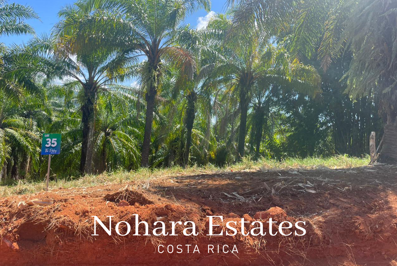 Nohara Estates Costa Rica Palms Eco Reserve 016
