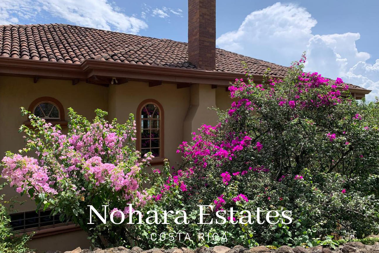 Villas Del Arroyo Casa Branded 44
