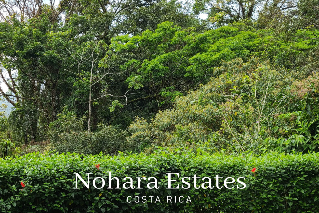 Casa Lana Logo 25