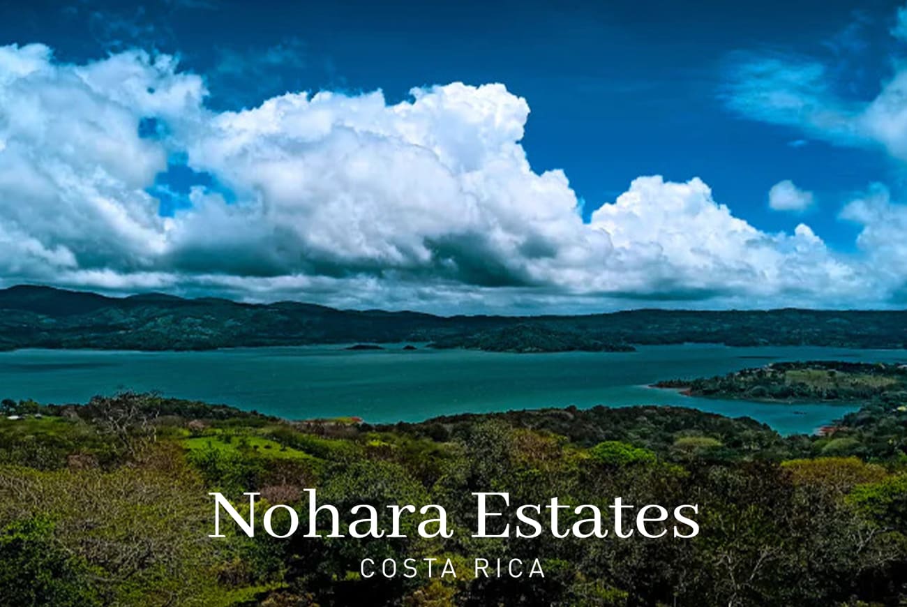 Lake Arenal Logo 4