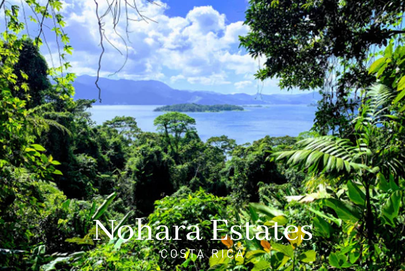 Lake Arenal Logo 8