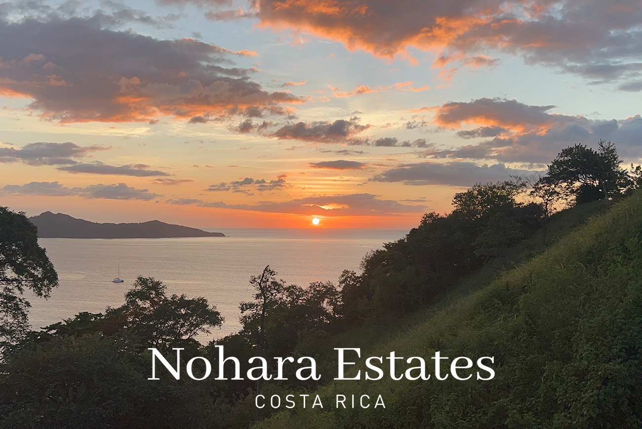 Valle Azul Branded 1