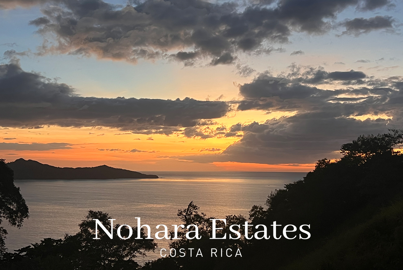 Valle Azul Branded 44