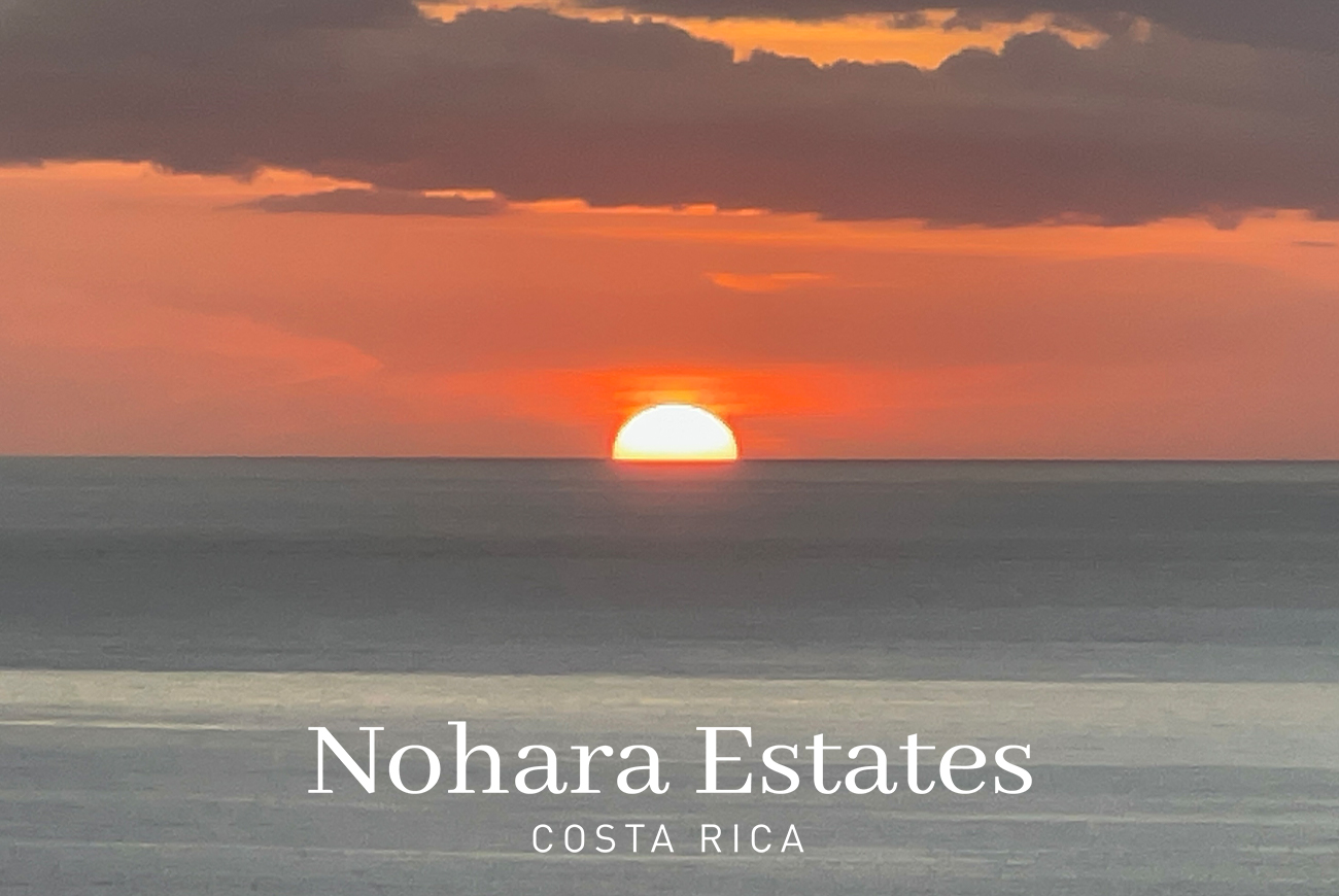 Valle Azul Branded 5